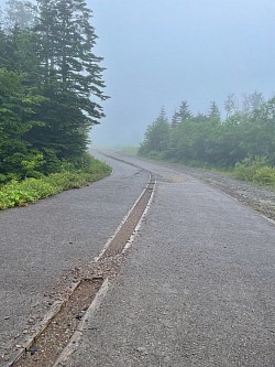 晴れたり降ったりガスったり