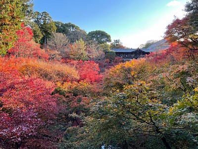 ふみさんの京都ラン⑤