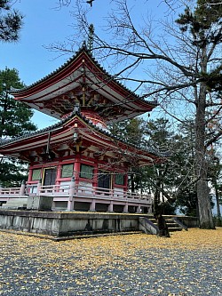 ふみさんの京都ラン④