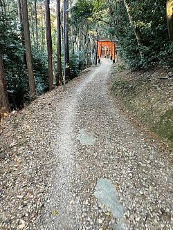 ふみさんの京都ラン⑧